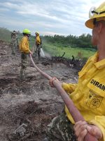 𝐂𝐎𝐌𝐁𝐀𝐓𝐄, 𝐂𝐎𝐍𝐓𝐑𝐎𝐋 𝐘 𝐄𝐗𝐓𝐈𝐍𝐂𝐈𝐎́𝐍 𝐃𝐄 𝐈𝐍𝐂𝐄𝐍𝐃𝐈𝐎 𝐄𝐍 𝐋𝐎𝐌𝐀 𝐏𝐘𝐓𝐀